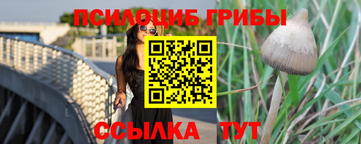 Псилоцибиновые грибы ЛСД  где купить наркоту  Кудрово  Вход с VPN 
